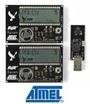 Oscillandia: kit di sviluppo RZRAVEN Atmel